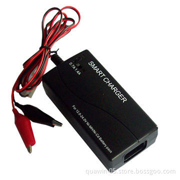 16 Cells 19.2V NIMH/NICD Battery Pack Charger, (24V 7A)